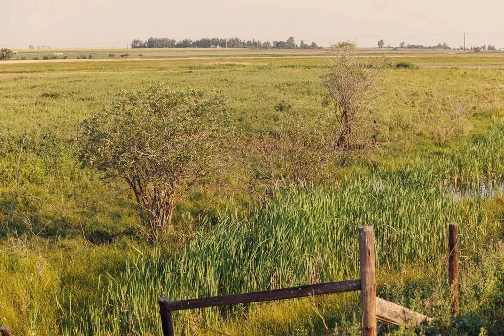 Parcel 8 Range Road 271 Just South Of Highway 9. Rural Rocky View County AB T0M 1G0