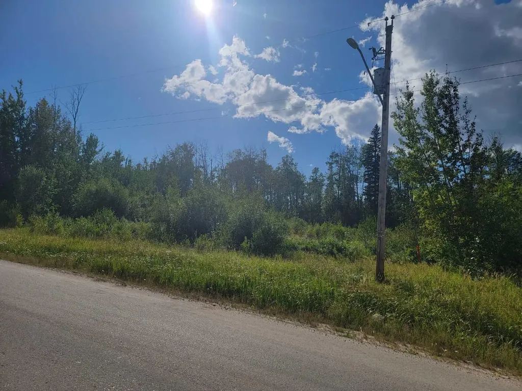6 50a Street Wandering River AB T0A 3M0