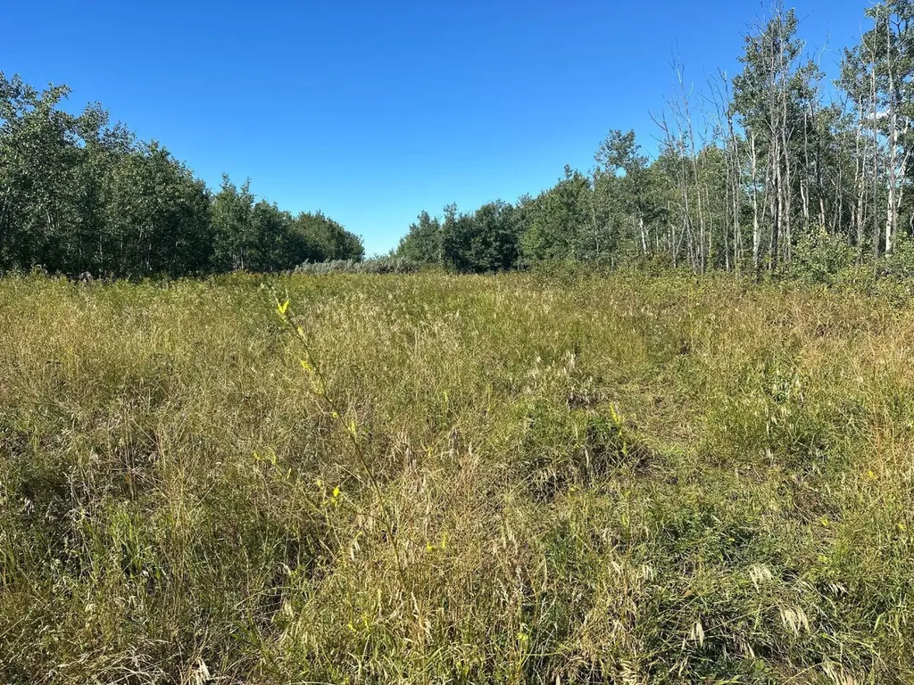 Juda Road Rural Northern Sunrise County AB T0H2N0