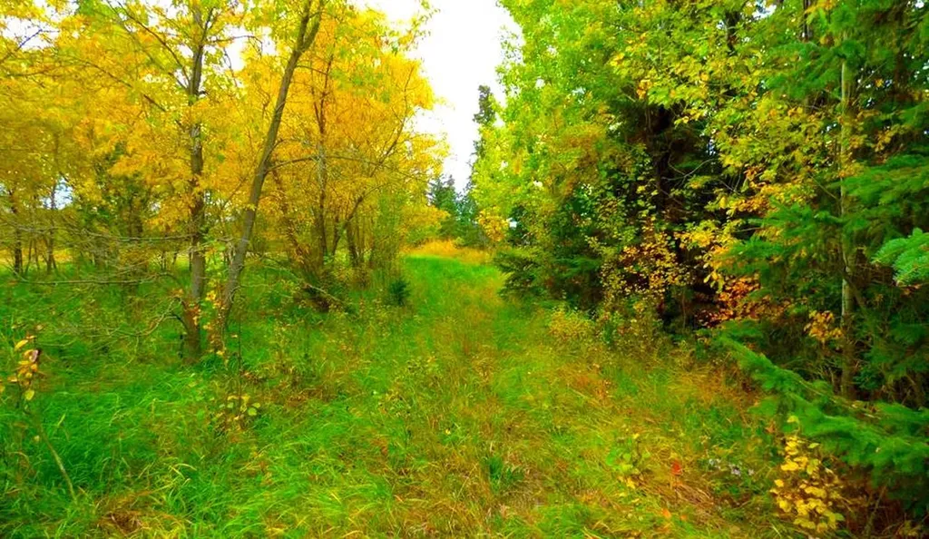 2520855, 1, 2 Lac La Biche AB T0A 2C0