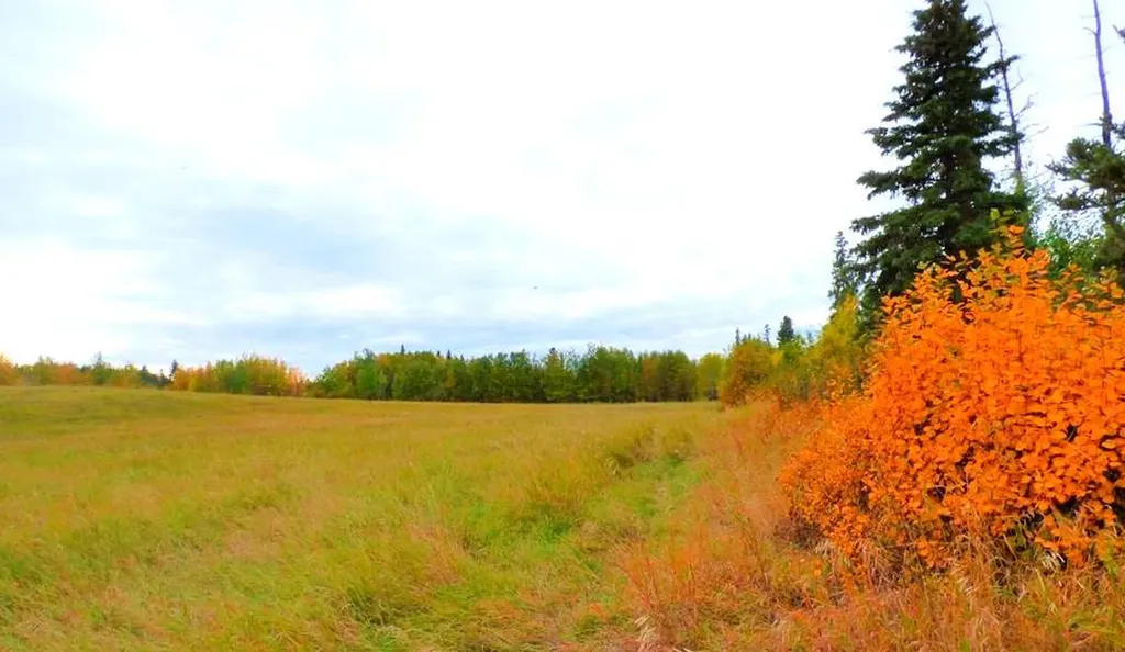 2520855, 1, 2 Lac La Biche AB T0A 2C0