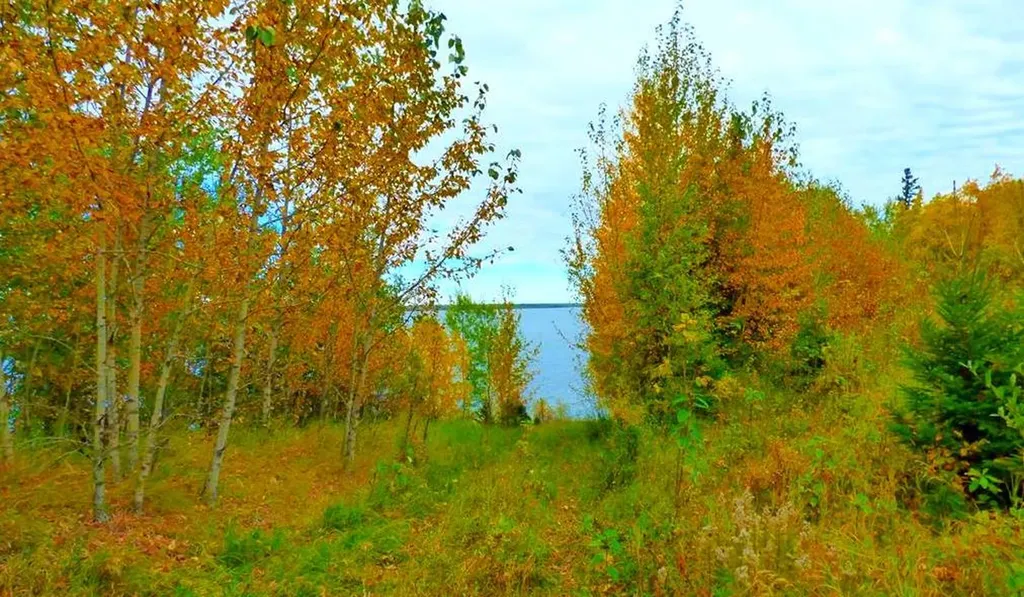 2520855, 1, 2 Lac La Biche AB T0A 2C0