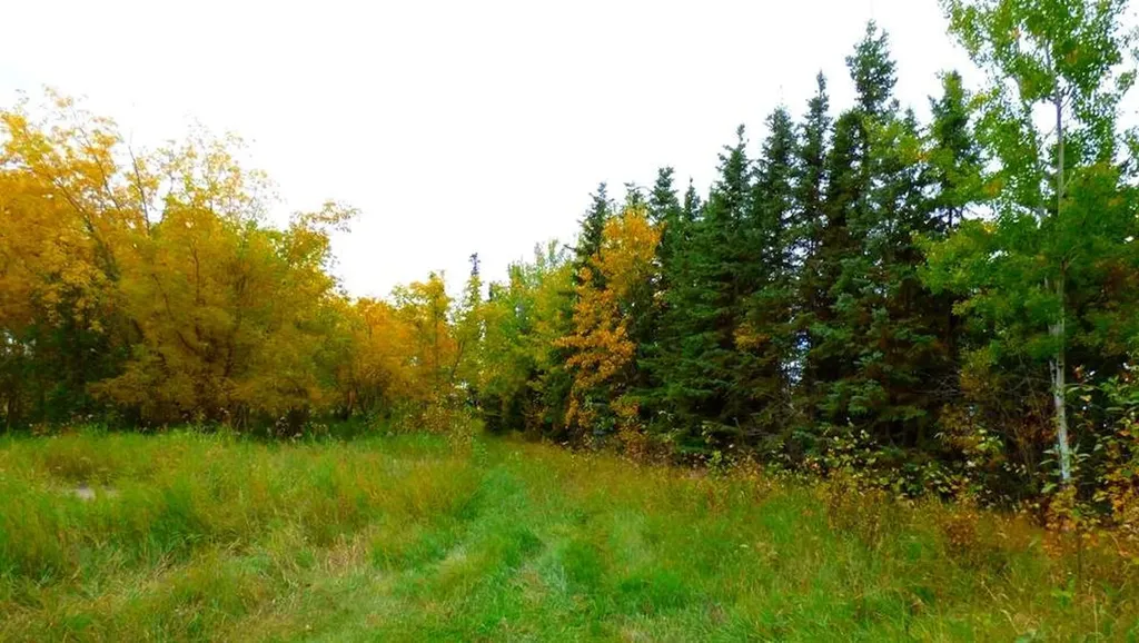 2520855, 1, 2 Lac La Biche AB T0A 2C0