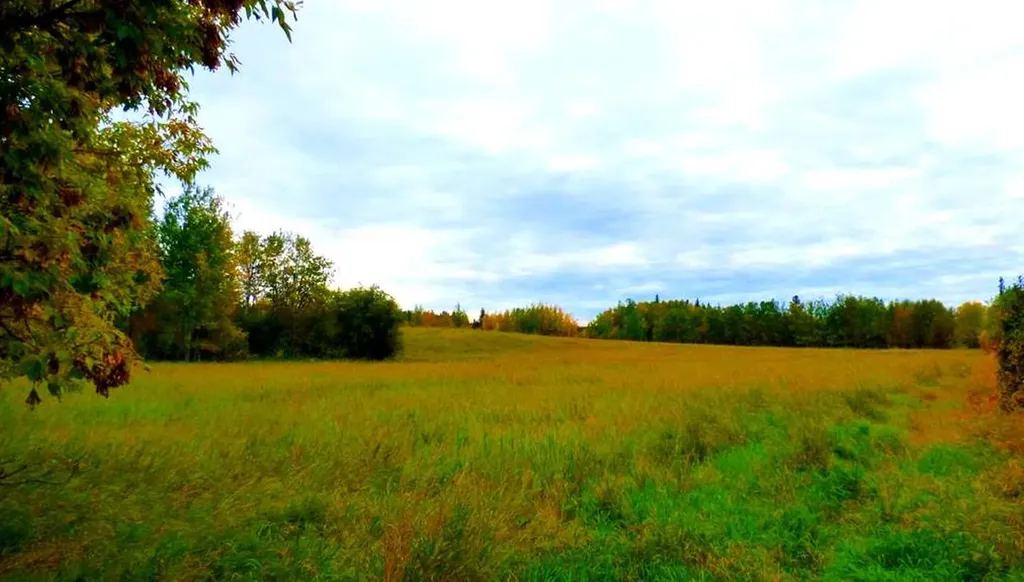 2520855, 1, 2 Lac La Biche AB T0A 2C0