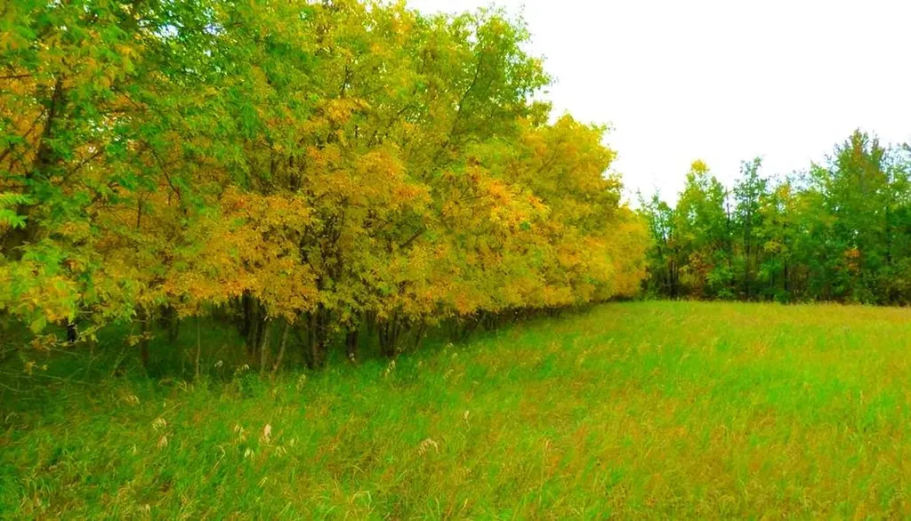 2520855, 1, 2 Lac La Biche AB T0A 2C0