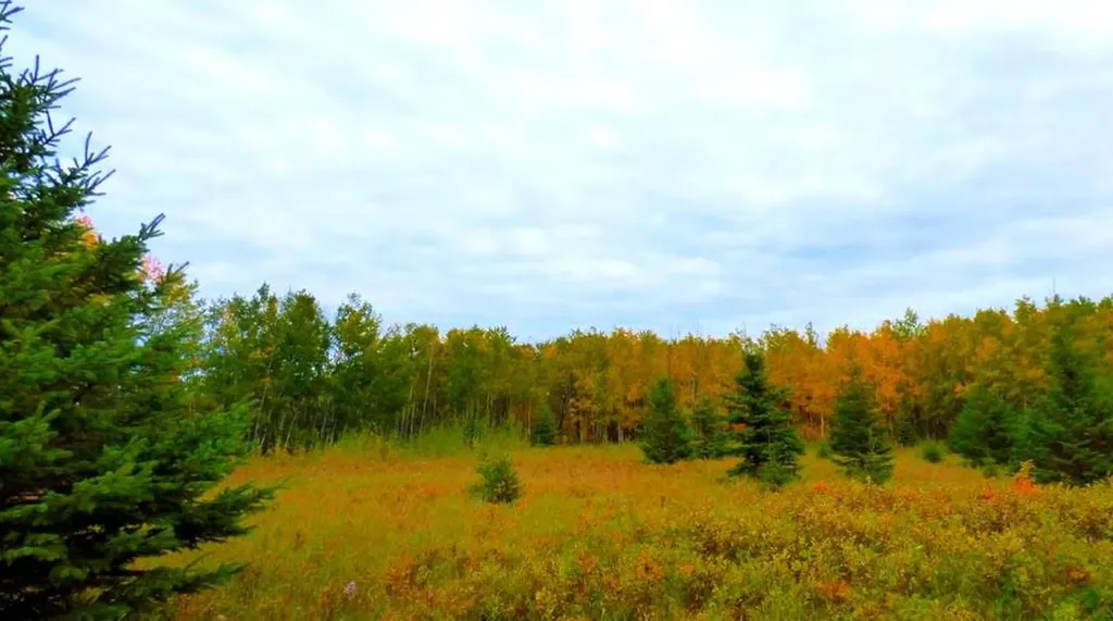 2520854, 1, 6 Lac La Biche AB T0A 2C0