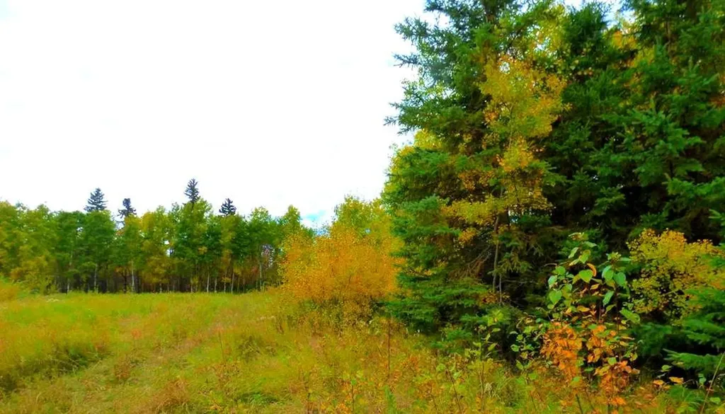 2520854, 1, 6 Lac La Biche AB T0A 2C0