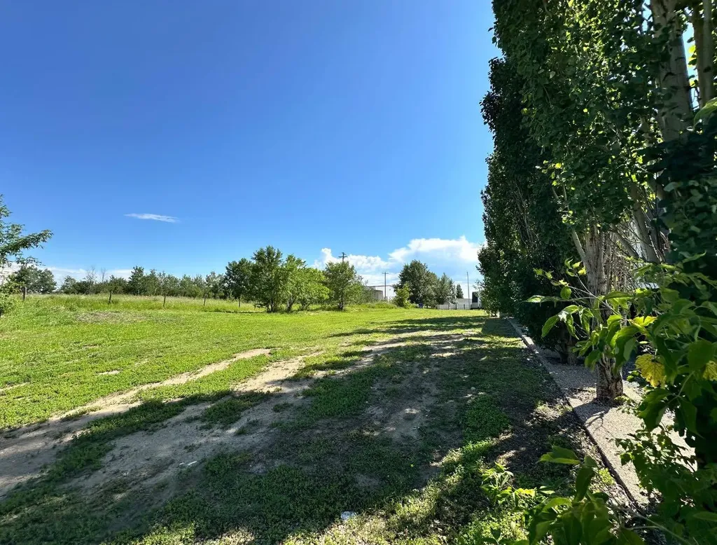 1129 17 Street Wainwright AB T9W 1E5