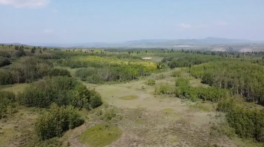 W:5 R:4 T:26 S:7 Q:se &NE,& NW Rural Rocky View County AB T0L1N0