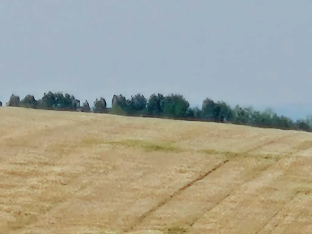 Symons Valley Rural Rocky View County AB T4B 3L5