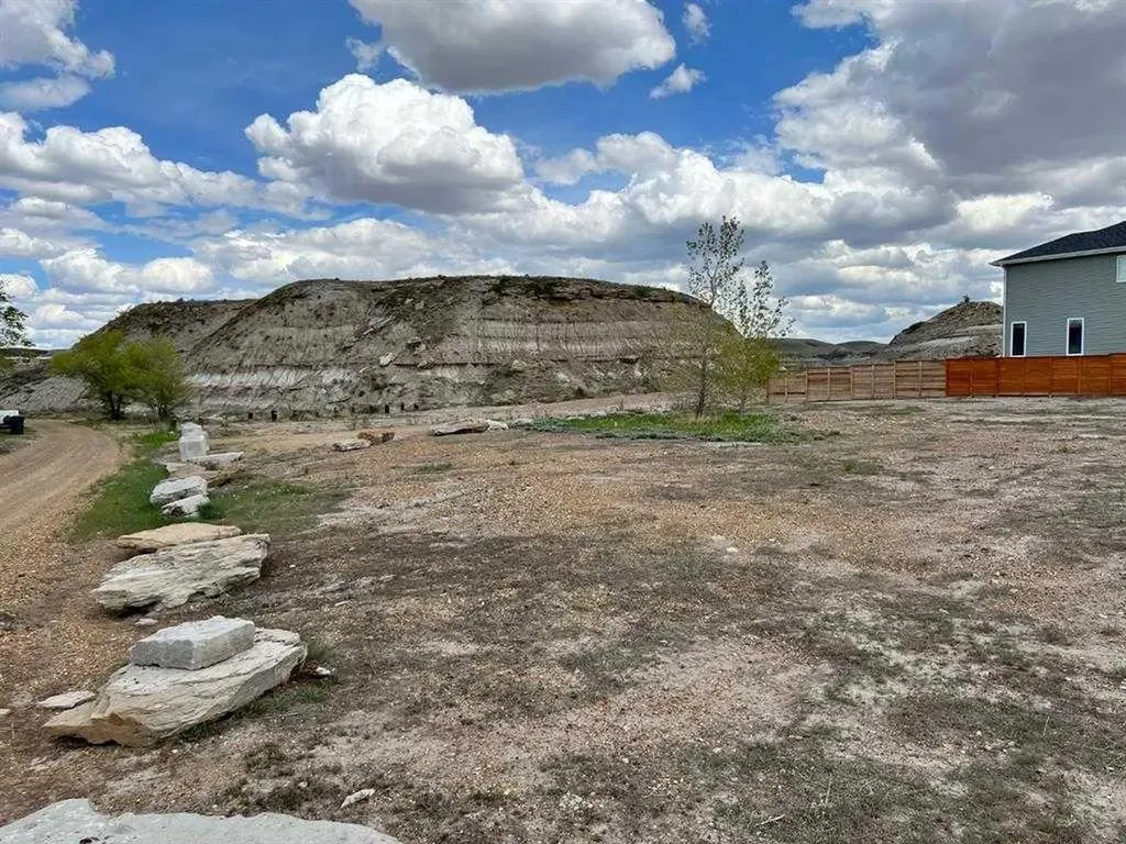169 10 Avenue SE Drumheller AB T0J 0Y6