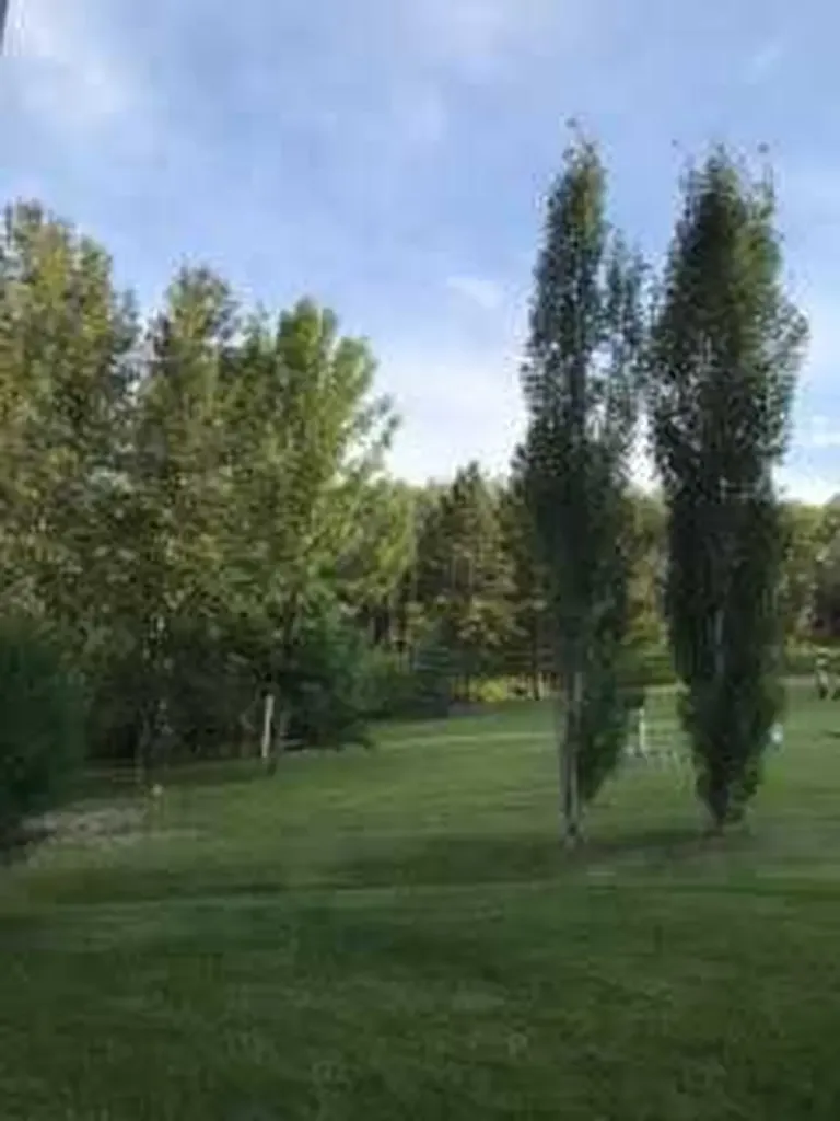 25204 Township Road 364 Township Rural Red Deer County AB T0M1R0