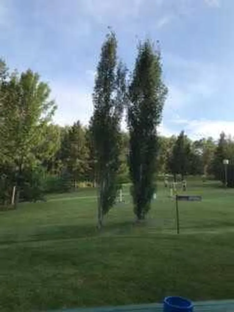 25204 Township Road 364 Township Rural Red Deer County AB T0M1R0
