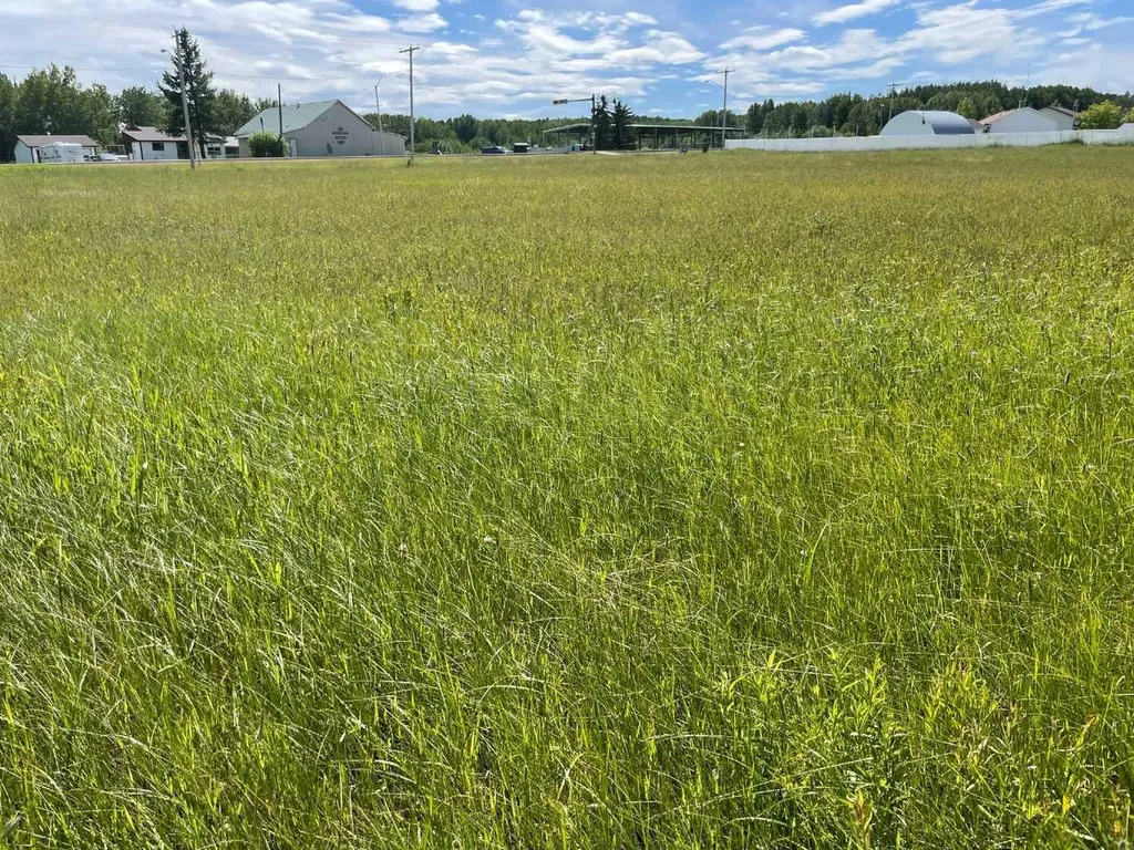 5002 50 Street Rural Brazeau County AB T0E 1Z0