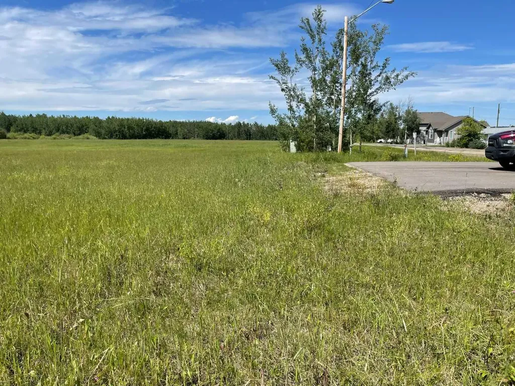 5002 50 Street Rural Brazeau County AB T0E 1Z0