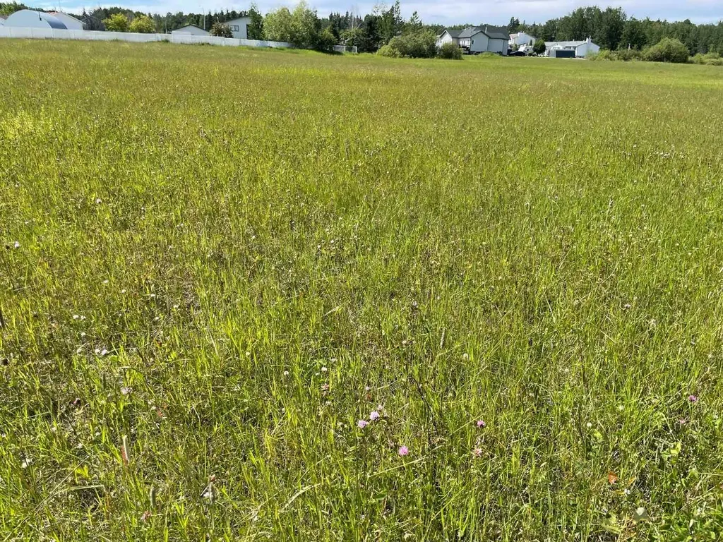 5002 50 Street Rural Brazeau County AB T0E 1Z0