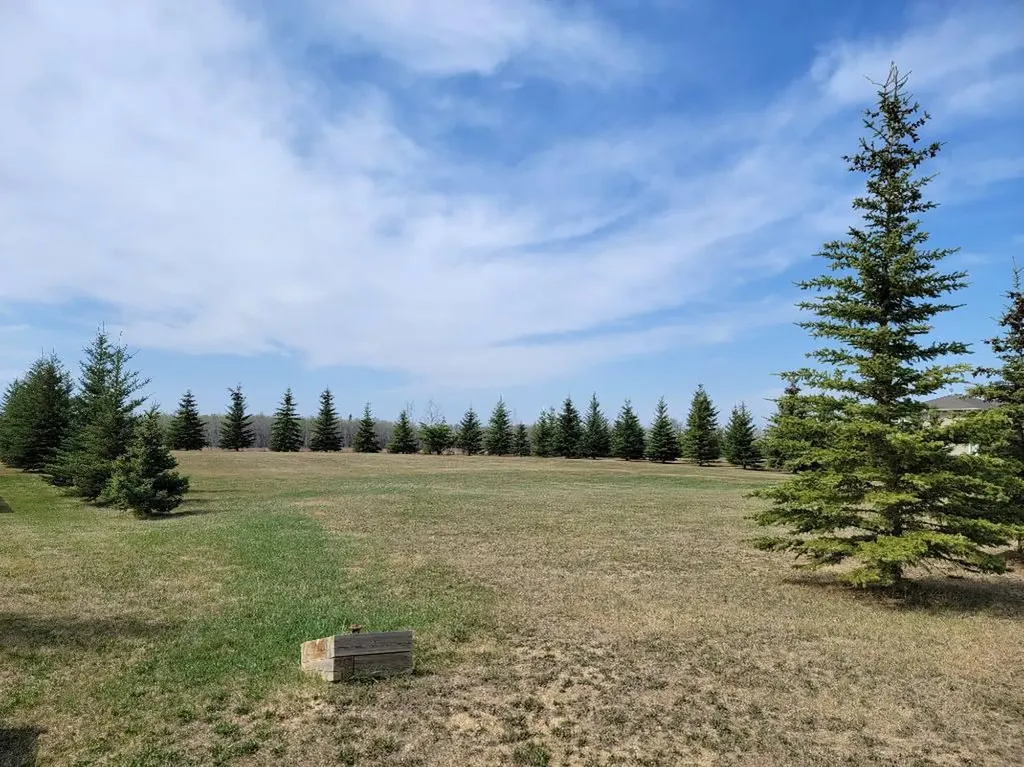 Lot 4 Tower Road Athabasca AB T9S 0B8