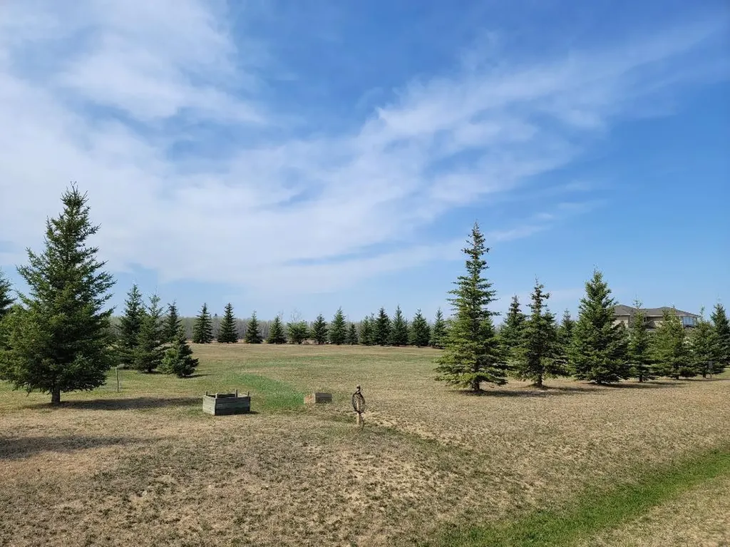 Lot 4 Tower Road Athabasca AB T9S 0B8