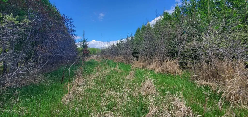 100 Street Lac La Biche AB T0A 2C0