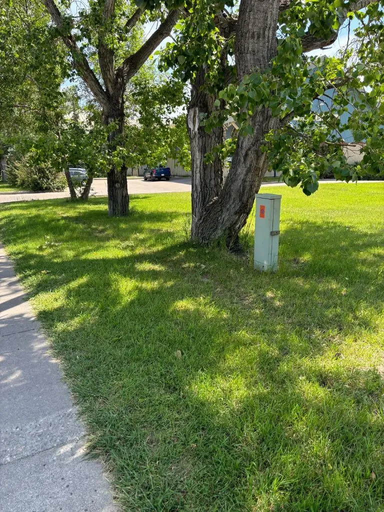 313 First Street E Cochrane AB T4C 1C7