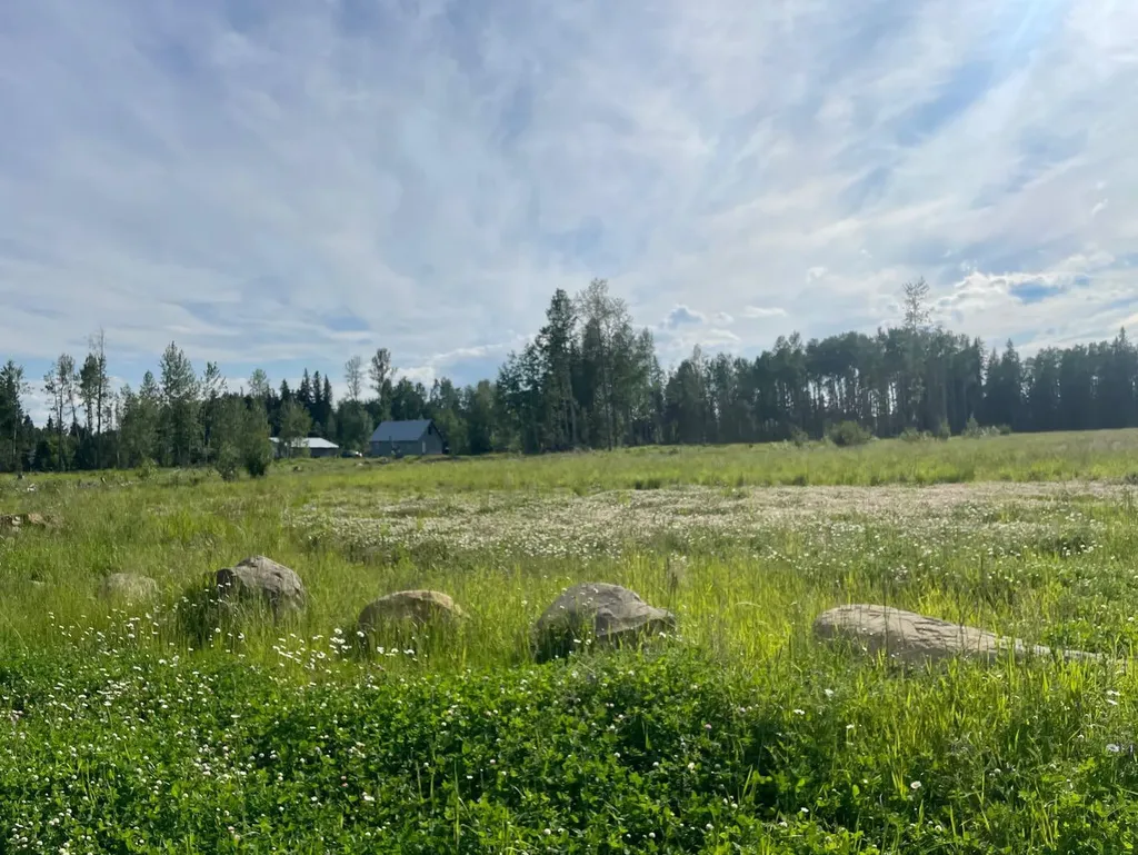 6432 17 Avenue Edson AB T7E 1S4
