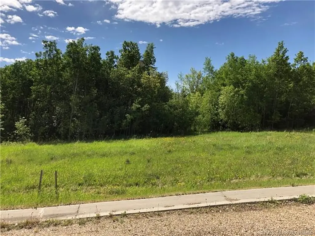 Lot 4 44 Avenue Close Alix AB T0C 0B0
