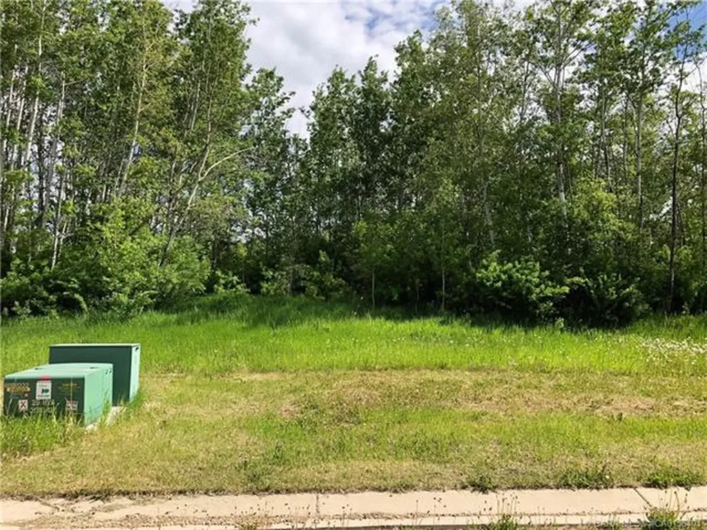 Lot 8 44 Avenue Close Alix AB T0C 0B0