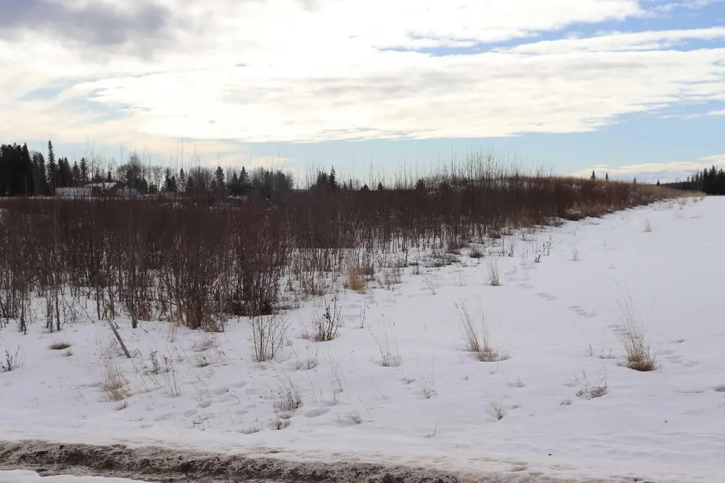 7301 Glenwood Drive Edson AB T7E 1N1