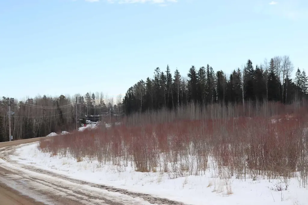 7301 Glenwood Drive Edson AB T7E 1N1