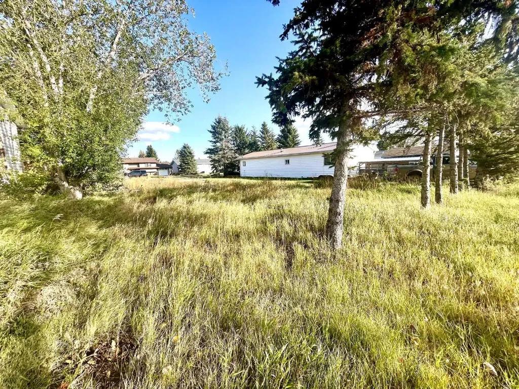 4834 59 Street Killam AB T0B 2L0
