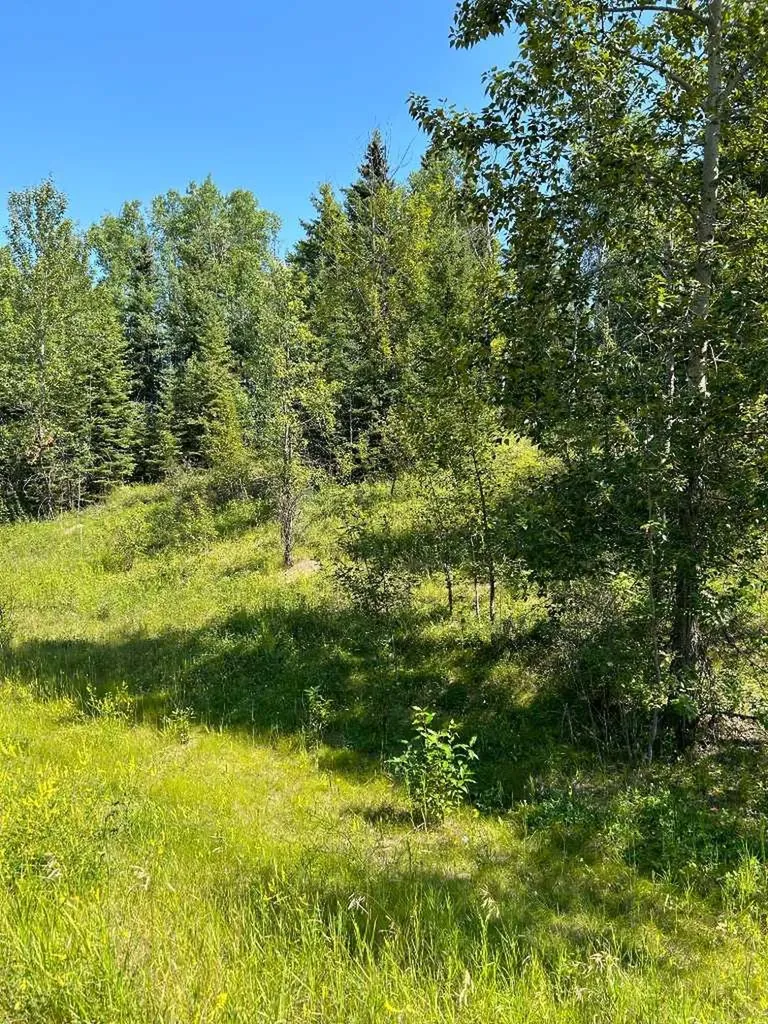 Lot R3 Westridge Road Rural Woodlands County AB T7S 1P8