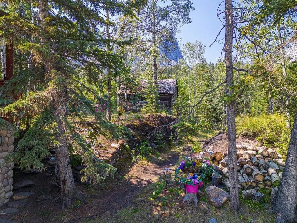 107 Three Sisters Drive Canmore AB T1W2M3