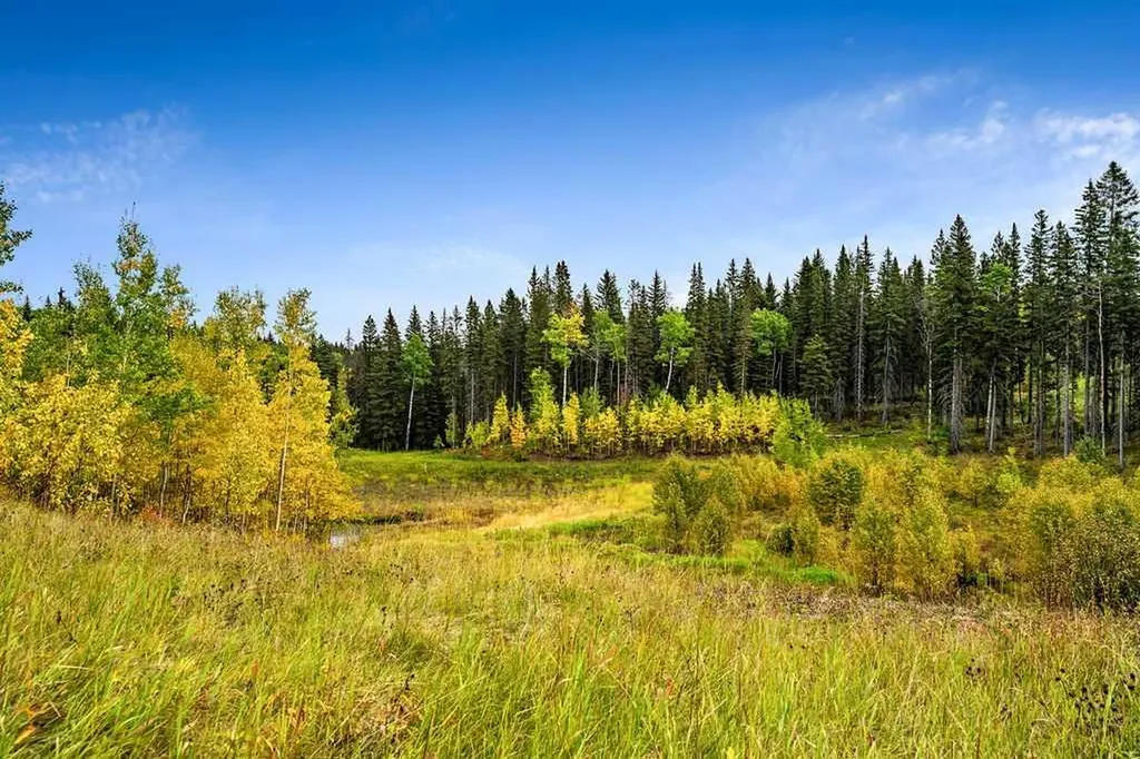 W:5 R:3 T:22 S:29 Q:nw Drive Rural Foothills County AB T0L 1W0