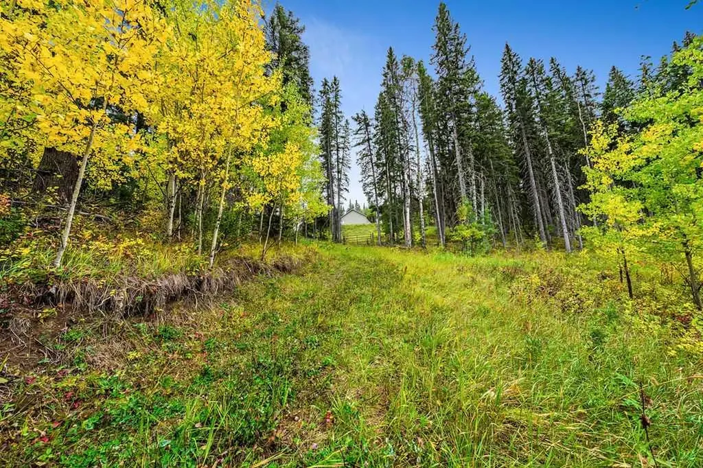 W:5 R:3 T:22 S:29 Q:nw Drive Rural Foothills County AB T0L 1W0