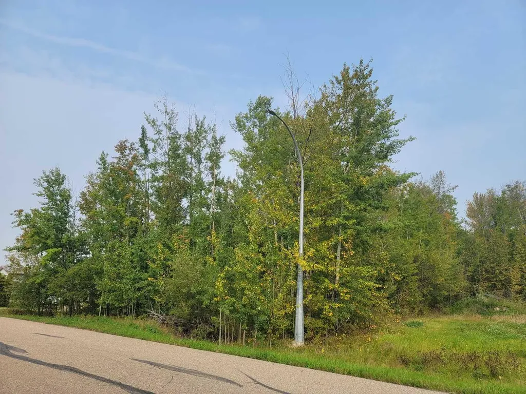 5404 Spruce Avenue Wandering River AB T0A 3M0