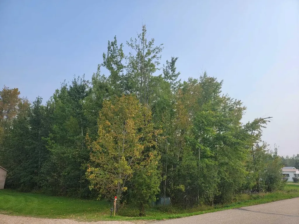 5404 Spruce Avenue Wandering River AB T0A 3M0