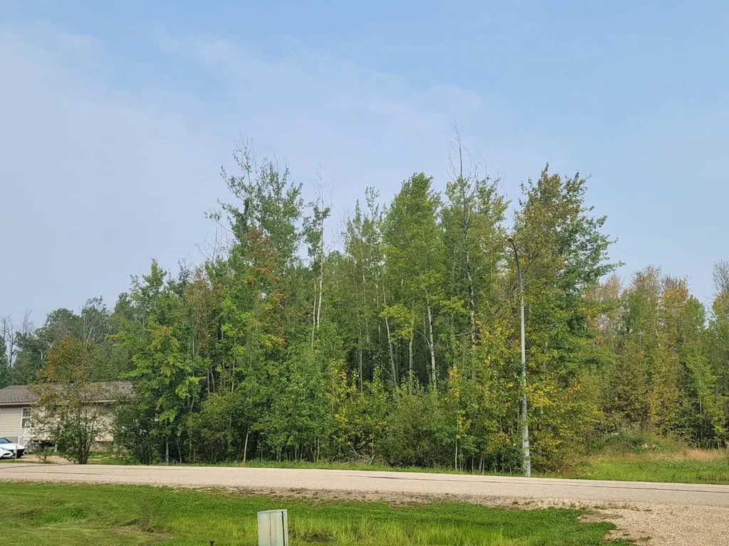 5404 Spruce Avenue Wandering River AB T0A 3M0