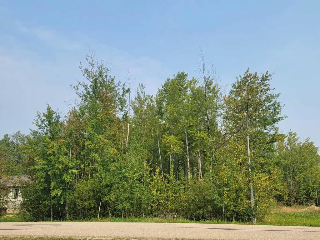 5404 Spruce Avenue Wandering River AB T0A 3M0