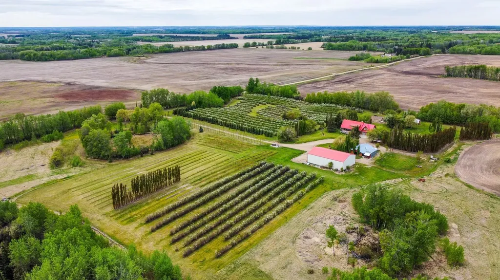 19132 Twp 825 Rural Northern Sunrise County AB T8S 1T1