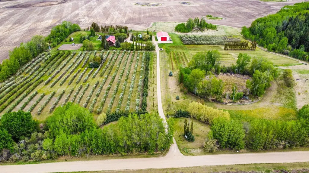 19132 Twp 825 Rural Northern Sunrise County AB T8S 1T1