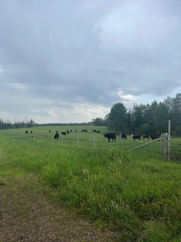 70 Acres SE Of Innisfial Rural Red Deer County AB T4S 0M6
