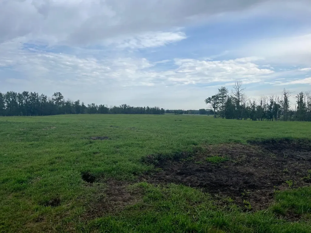70 Acres SE Of Innisfial Rural Red Deer County AB T4S 0M6