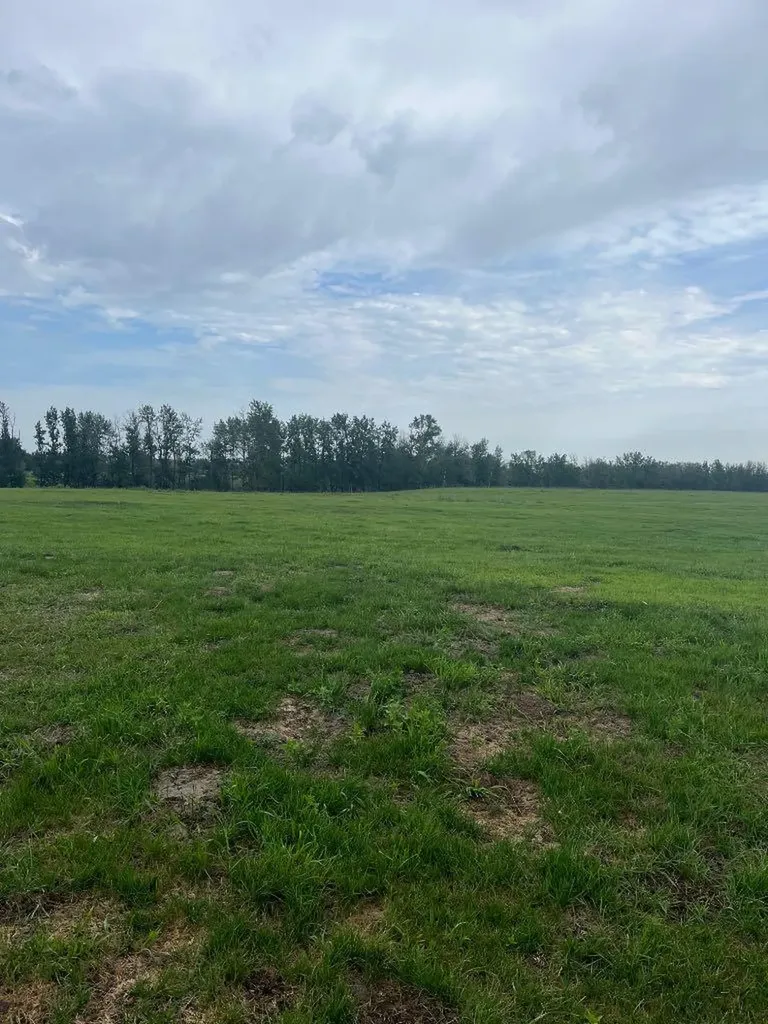 70 Acres SE Of Innisfial Rural Red Deer County AB T4S 0M6
