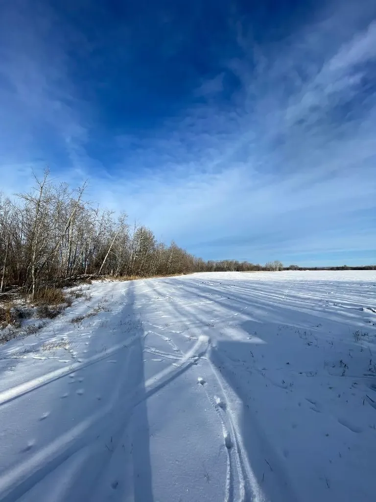 17426 Township 742 High Prairie AB T0G 1E0