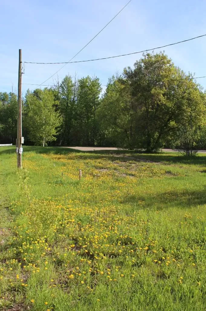 307 3rd Street SE Manning AB T0H 2M0