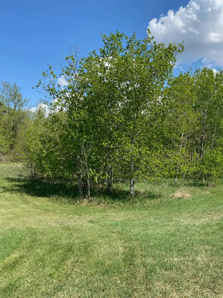 5005 46 Street Ponoka AB T4J 1C2