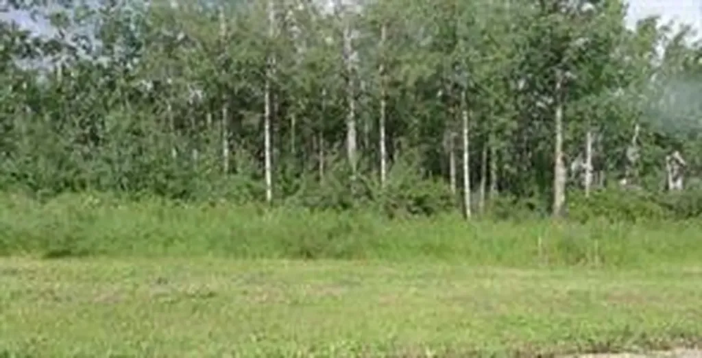 122 Wolf Run Drive Rural Ponoka County AB T4J1R3