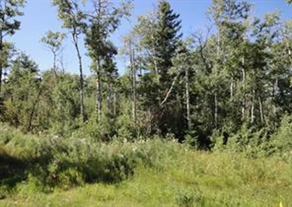 122 Wolf Run Drive Rural Ponoka County AB T4J1R3