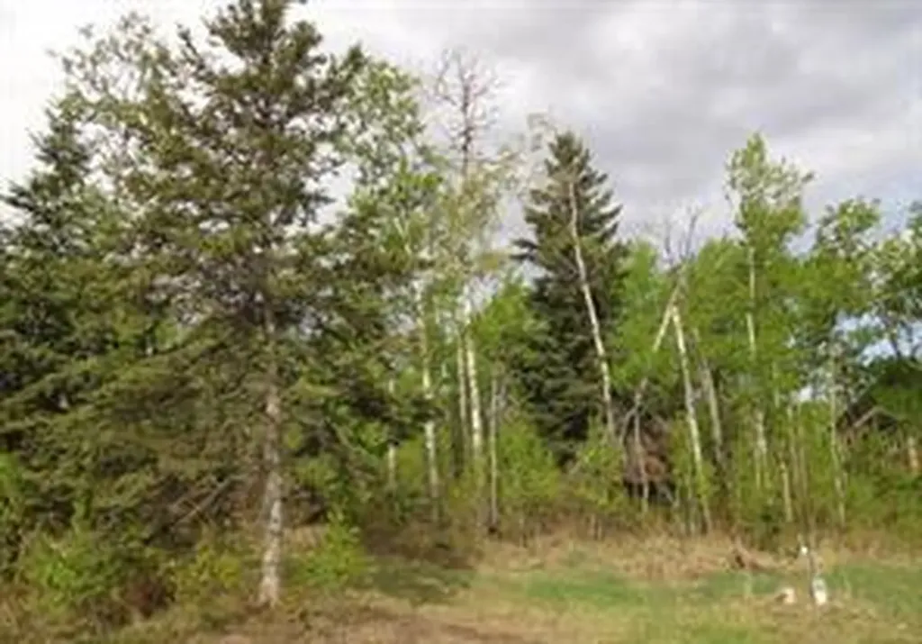 122 Wolf Run Drive Rural Ponoka County AB T4J1R3