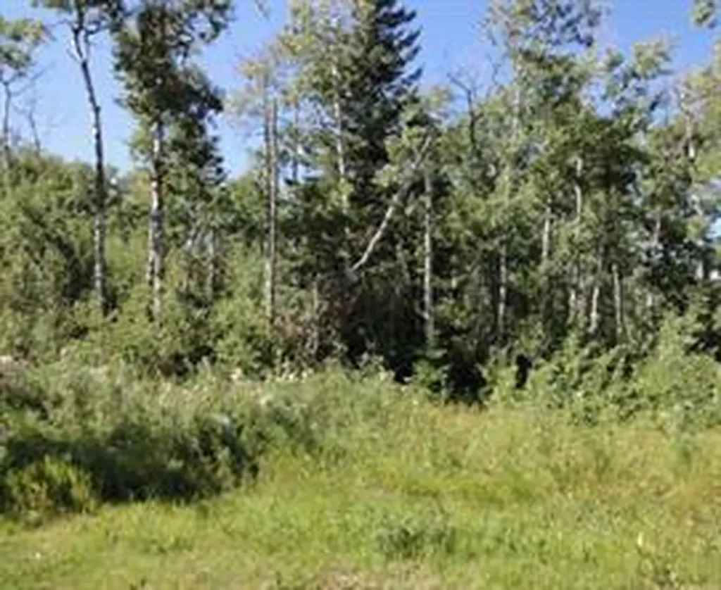 122 Wolf Run Drive Rural Ponoka County AB T4J1R3